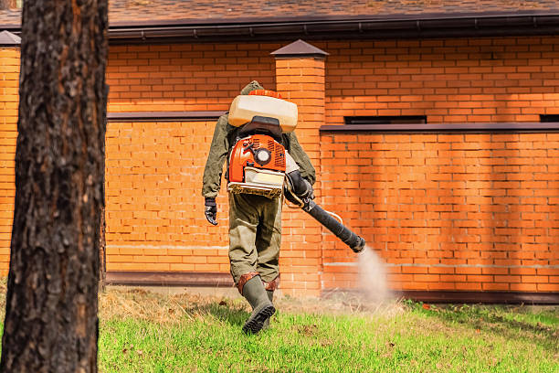 Bed Bug Clearance Verification and Documentation in Walnut Creek